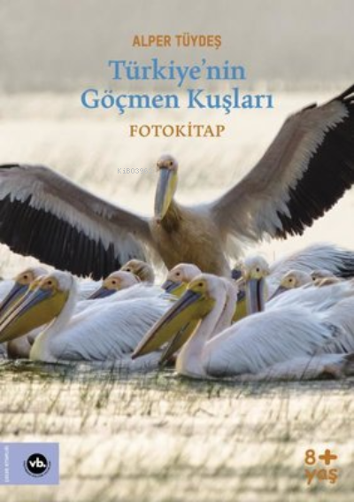 Türkiyenin Göçmen Kuşları - Fotokitap