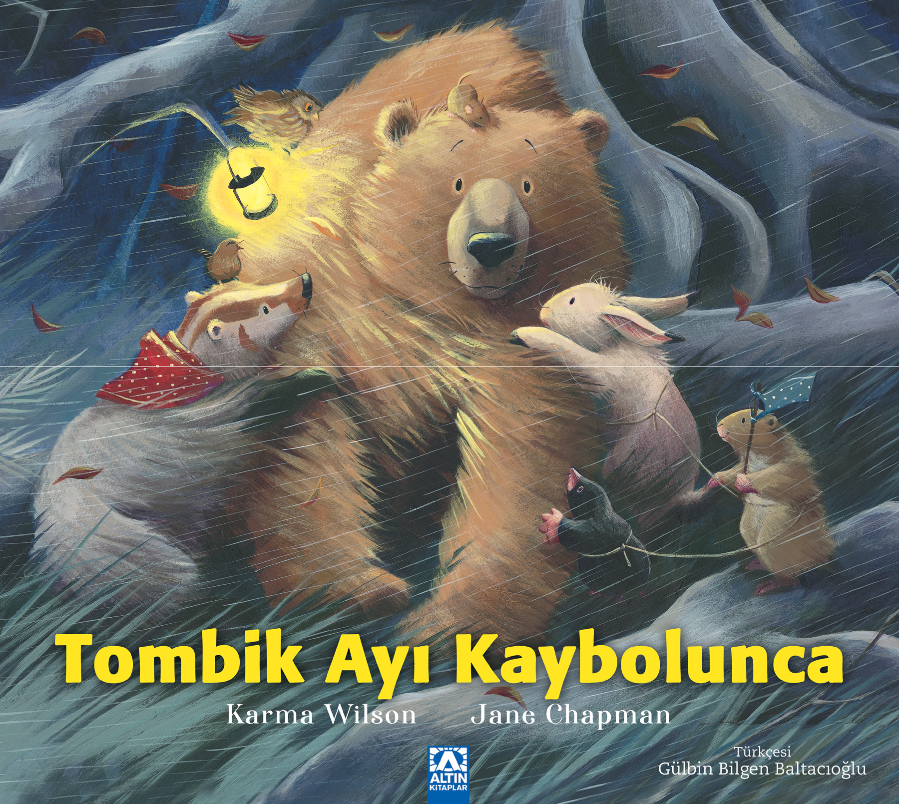 Tombik Ayı Kaybolunca