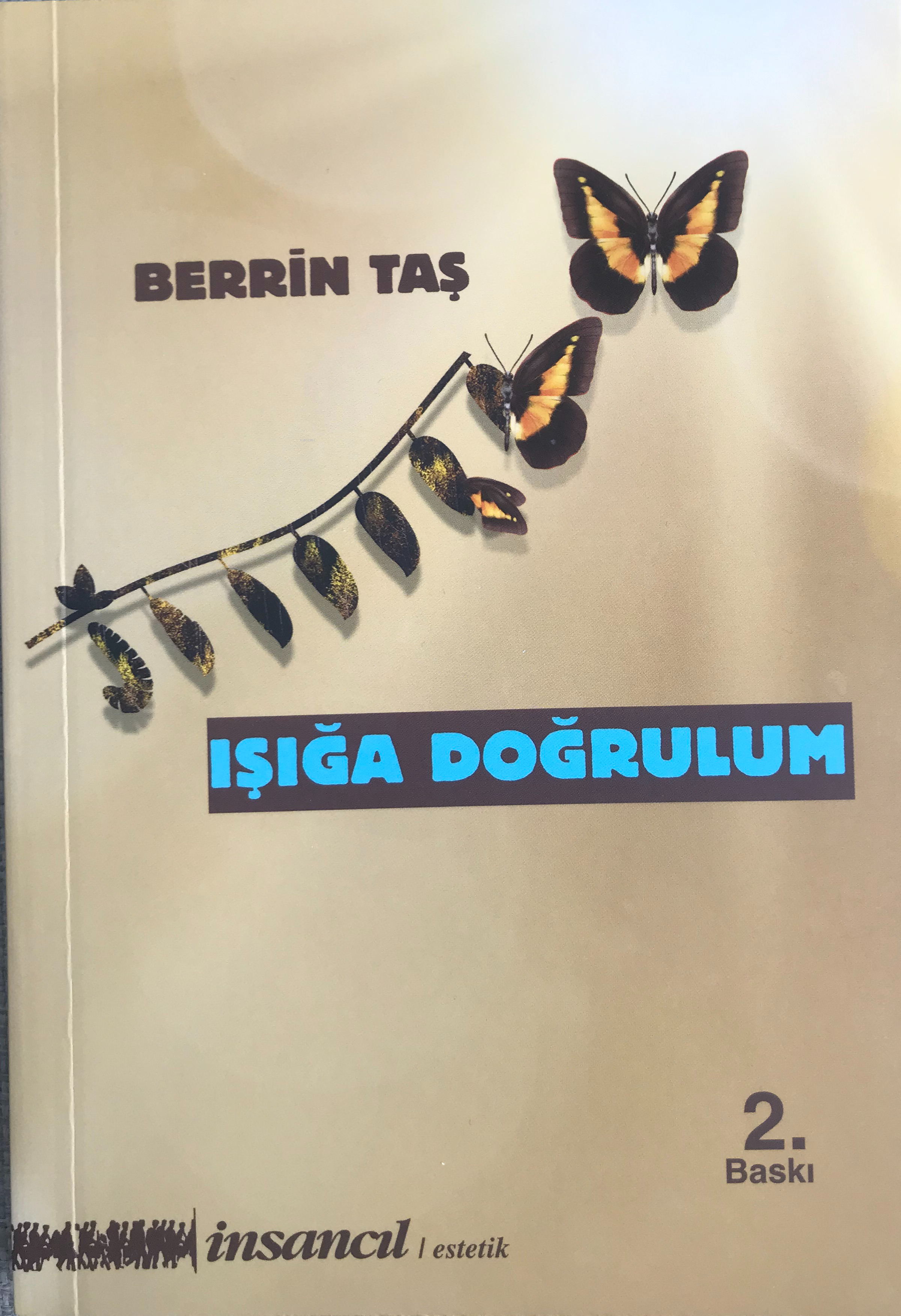  Işığa Doğrulum | Işığa Doğrulum | Berrin Taş | İnsancıl Yayınları | 9786055958848 