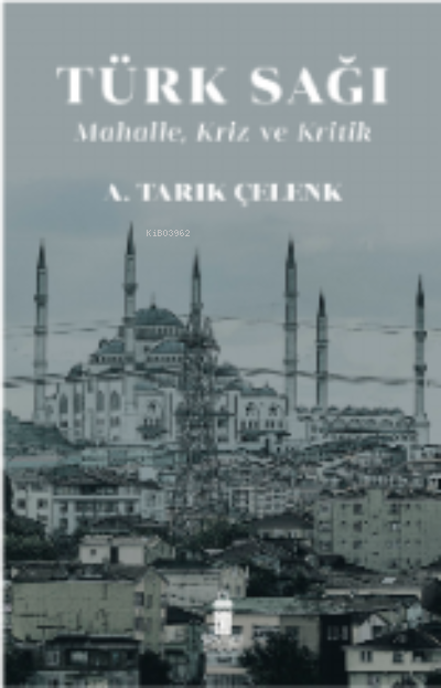 Türk Sağı Mahalle , Kriz Ve Kritik