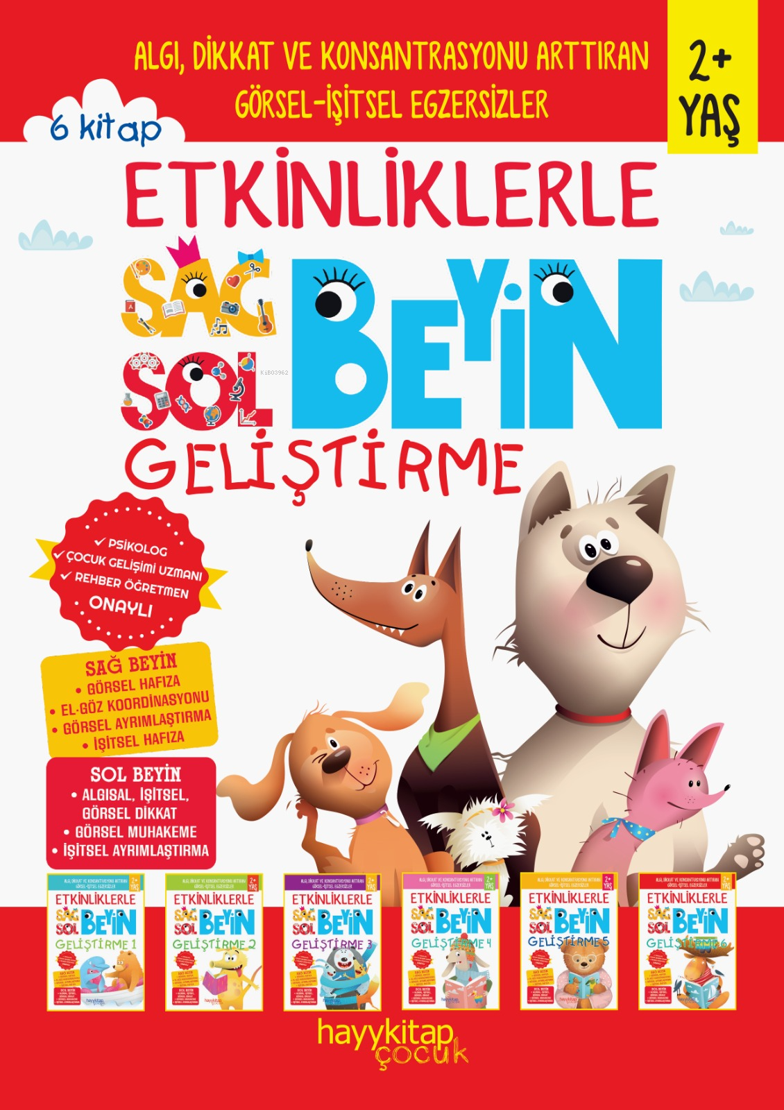 Etkinliklerle Sağ Beyin Sol Beyin Geliştirme 2+Yaş Seti - 6 Kitap Takım