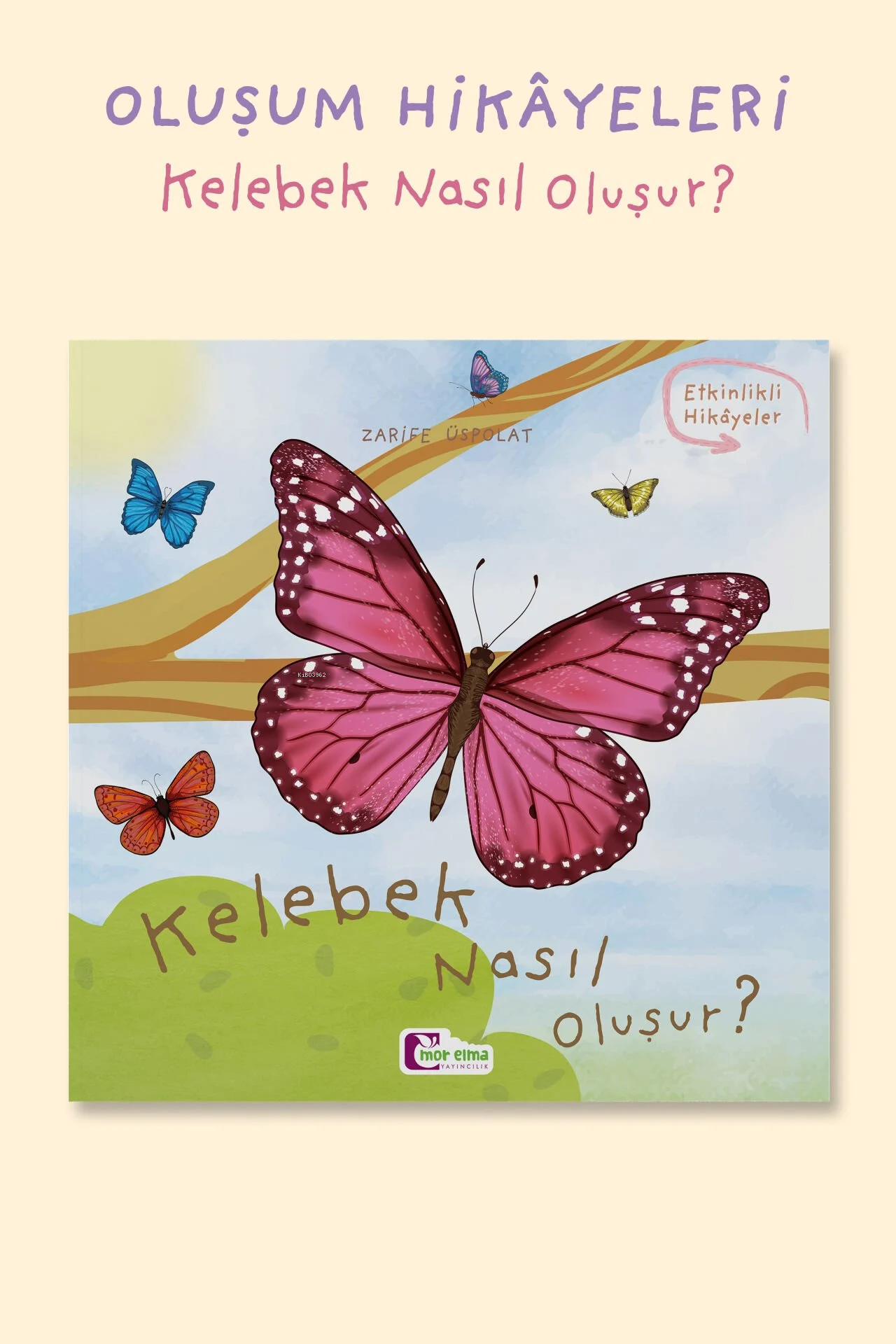 Kelebek Nasıl Oluşur?