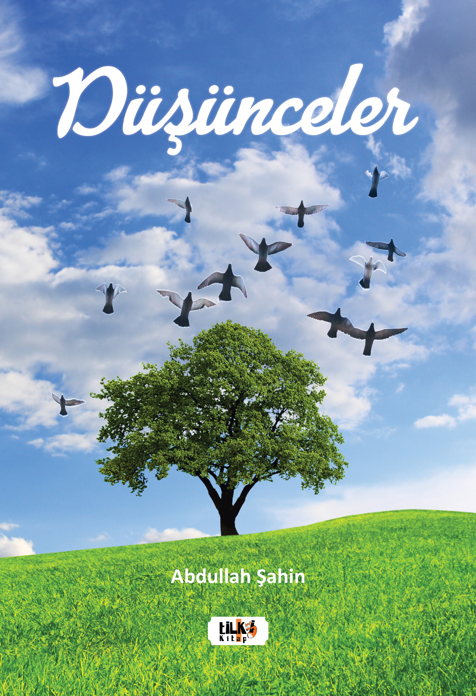  Düşünceler | Düşünceler | Abdullah Şahin | Sinan Kocaman | Tuğba Ünlüer | Aslıhan Ekşioğlu | Aslıhan Ekşioğlu | Tilki Kitap | 9786256831377 