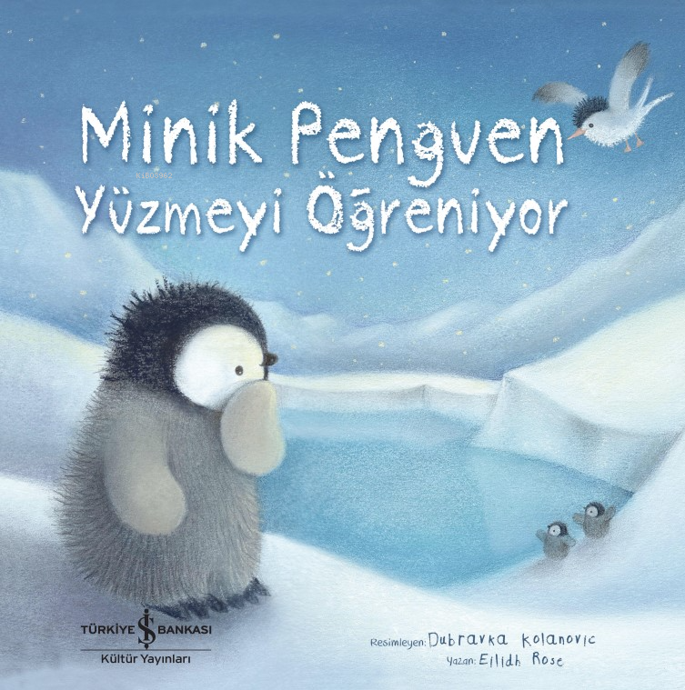 Minik Penguen Yüzmeyi Öğreniyor