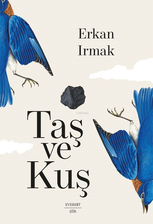 Taş Ve Kuş;Umman Üçlemesi - 1