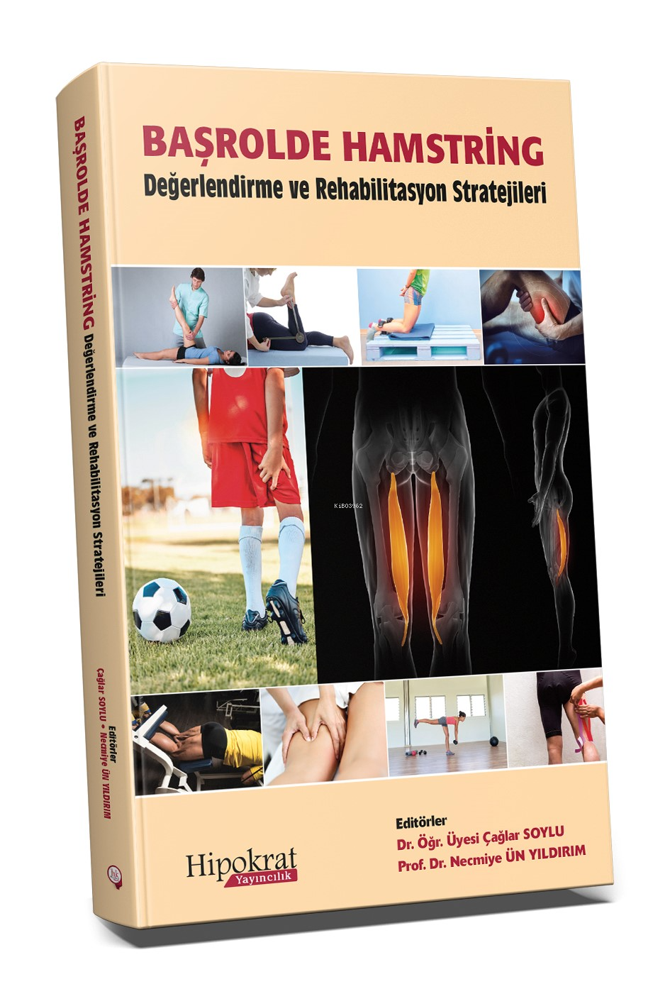 Başrolde Hamstring Değerlendirme ve Rehabilitasyon Stratejileri