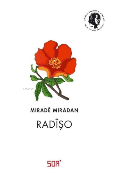  Radişo | Devrim Koçlan | Mirade Miradan | Sor | 9786058044111 | 