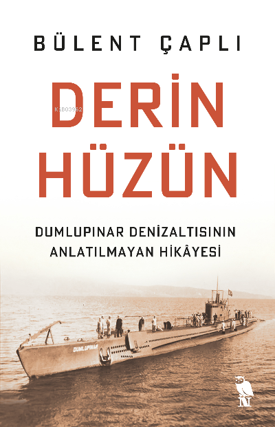 Derin Hüzün;Dumlupınar Denizaltısının Anlatılmayan Hikâyesi