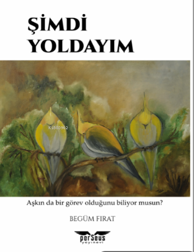  Şimdi Yoldayım | Begüm Fırat | Perseus Yayınevi | 9789758474004 | 