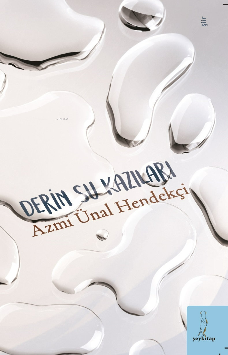  Derin Su Kazıları | Derin Su Kazıları | Azmi Ünal Hendekçi | Şey Kitap | 9786259492469 