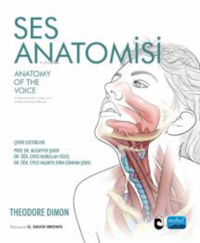 Ses Anatomisi- Anatomy Of The Voice