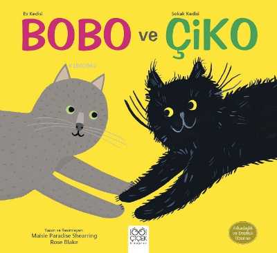 Ev Kedisi Bobo ve Sokak Kedisi Çiko- Arkadaşlık ve Dostluk Üzerine