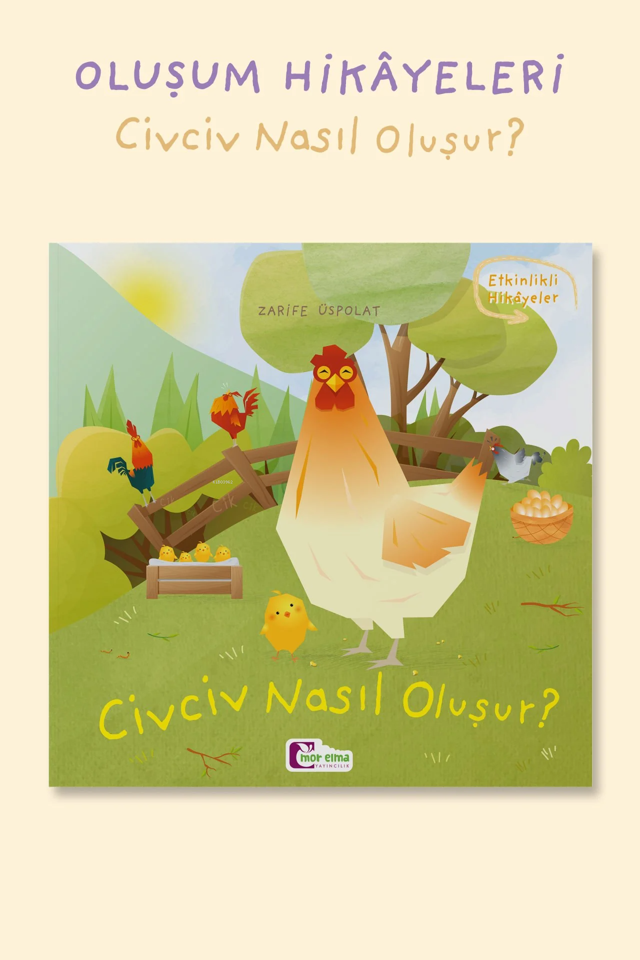 Civciv Nasıl Oluşur?