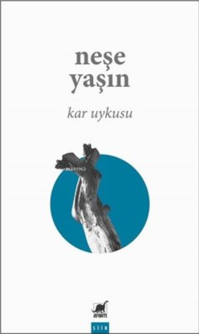  Kar Uykusu | Neşe Yaşın | Ayrıntı Yayınları | 9786053145110 