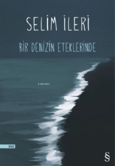 Bir Denizin Eteklerinde