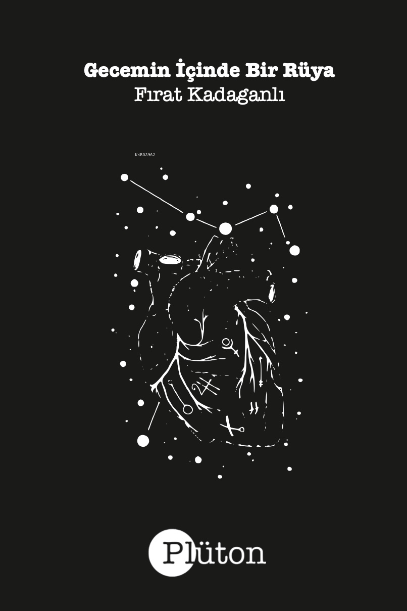  Gecemin İçinde Bir Rüya | Fırat Kadaganlı | Toprak Şems Tezcan | Plüton Yayınevi | 9786057113023 | 