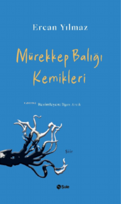 Mürekkep Balığı Kemikleri