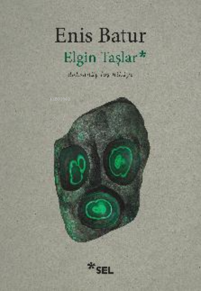 Elgin Taşlar ;Doksanüç Loş Hikâye