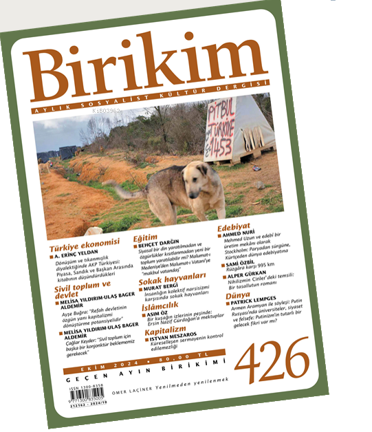 Birikim