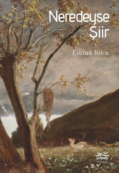  Neredeyse Şiir | Emrah Yolcu | Çolpan Kitap | 9786057423368 | 