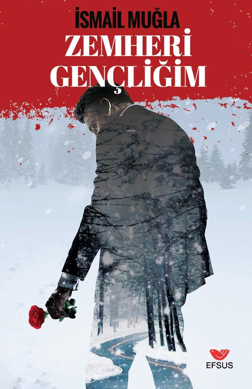 Zemheri Gençliğim