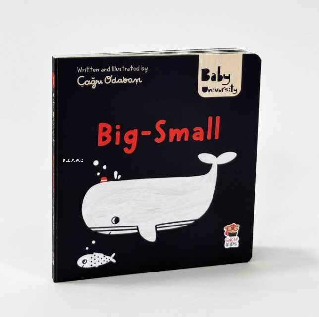 Big Small - Baby University First Concepts Stories