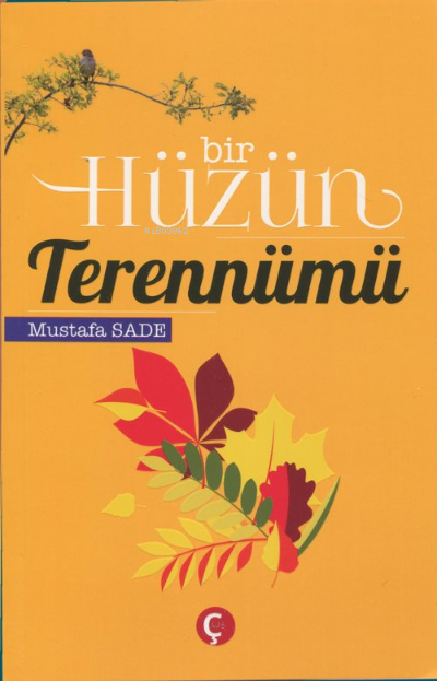  Bir Hüzün Terennümü | Halit Yıldırım | Mustafa Sade | Çeri Yayınları | 9786057056528 | 