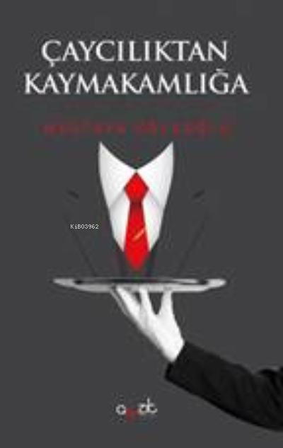  Çaycılıktan Kaymakamlığa | Çaycılıktan Kaymakamlığa | Mustafa Köleoğlu | Ayzıt Yayınları | 9786058060074 