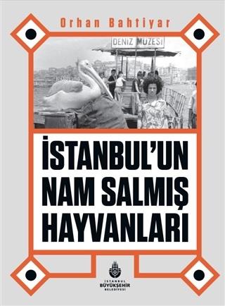 İstanbul’un Nam Salmış Hayvanları