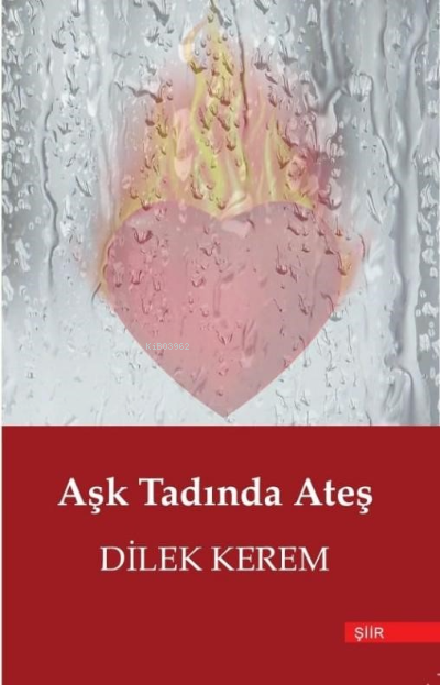  Aşk Tadında Ateş | Dilek Kerem | Zinde Yayınevi | 9786258042771 | 