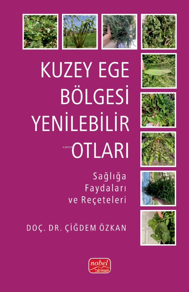 Kuzey Ege Bölgesi Yenilebilir Otları;Sağlığa Faydaları ve Reçeteleri