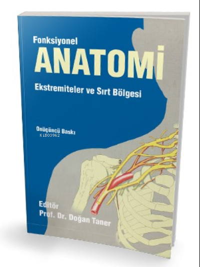 Fonksiyonel Anatomi;Ekstremiteler ve Sırt Bölgesi
