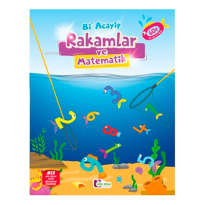 Bi Acayip Rakamlar Ve Matematik