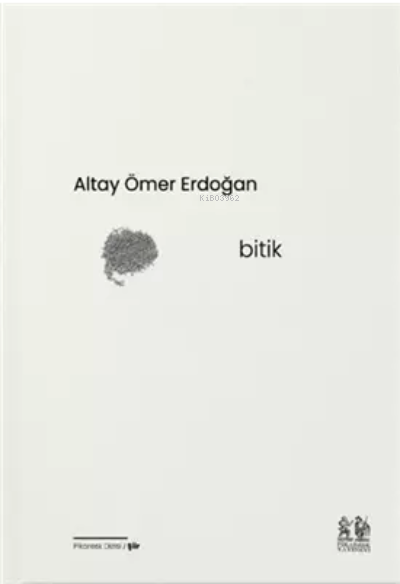  Bitik | Altay Ömer Erdoğan | Pikaresk Yayınevi | 9786057149404 | 