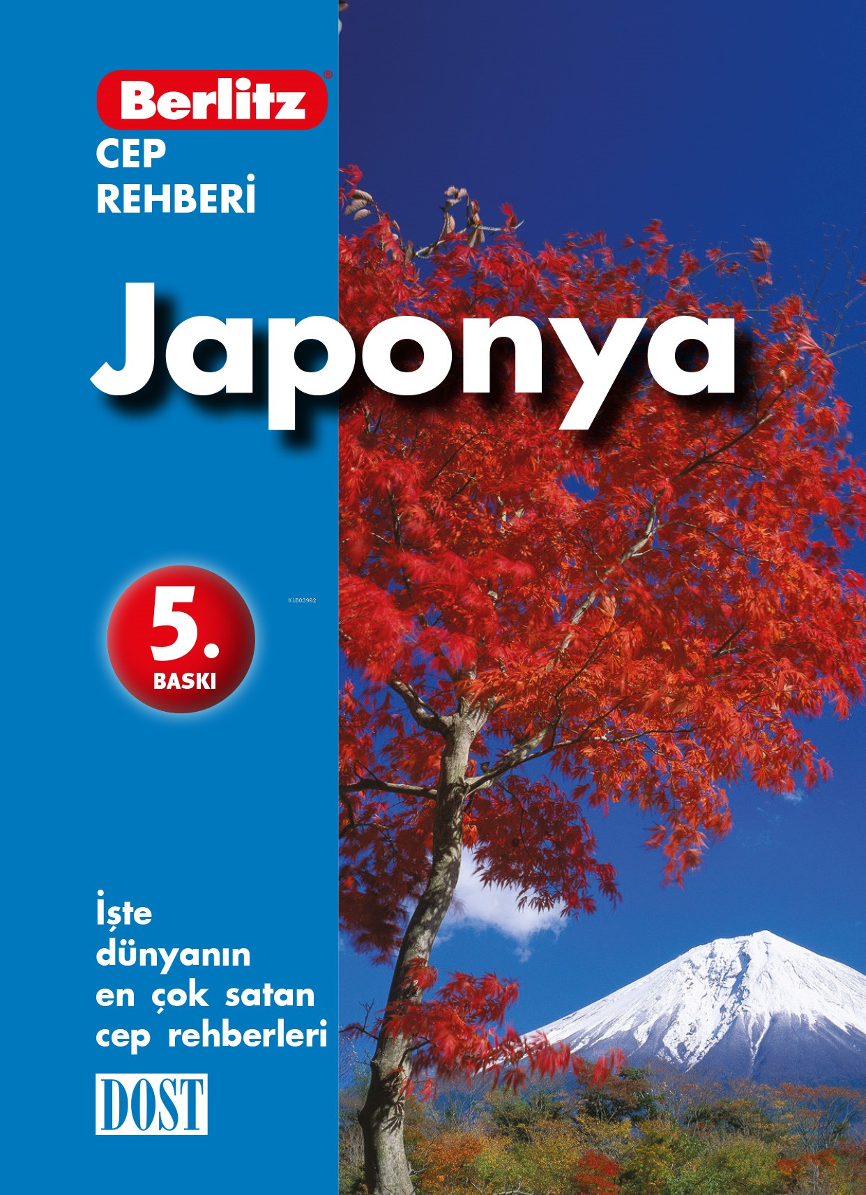 Japonya