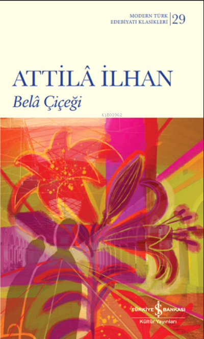Bela Çiçeği