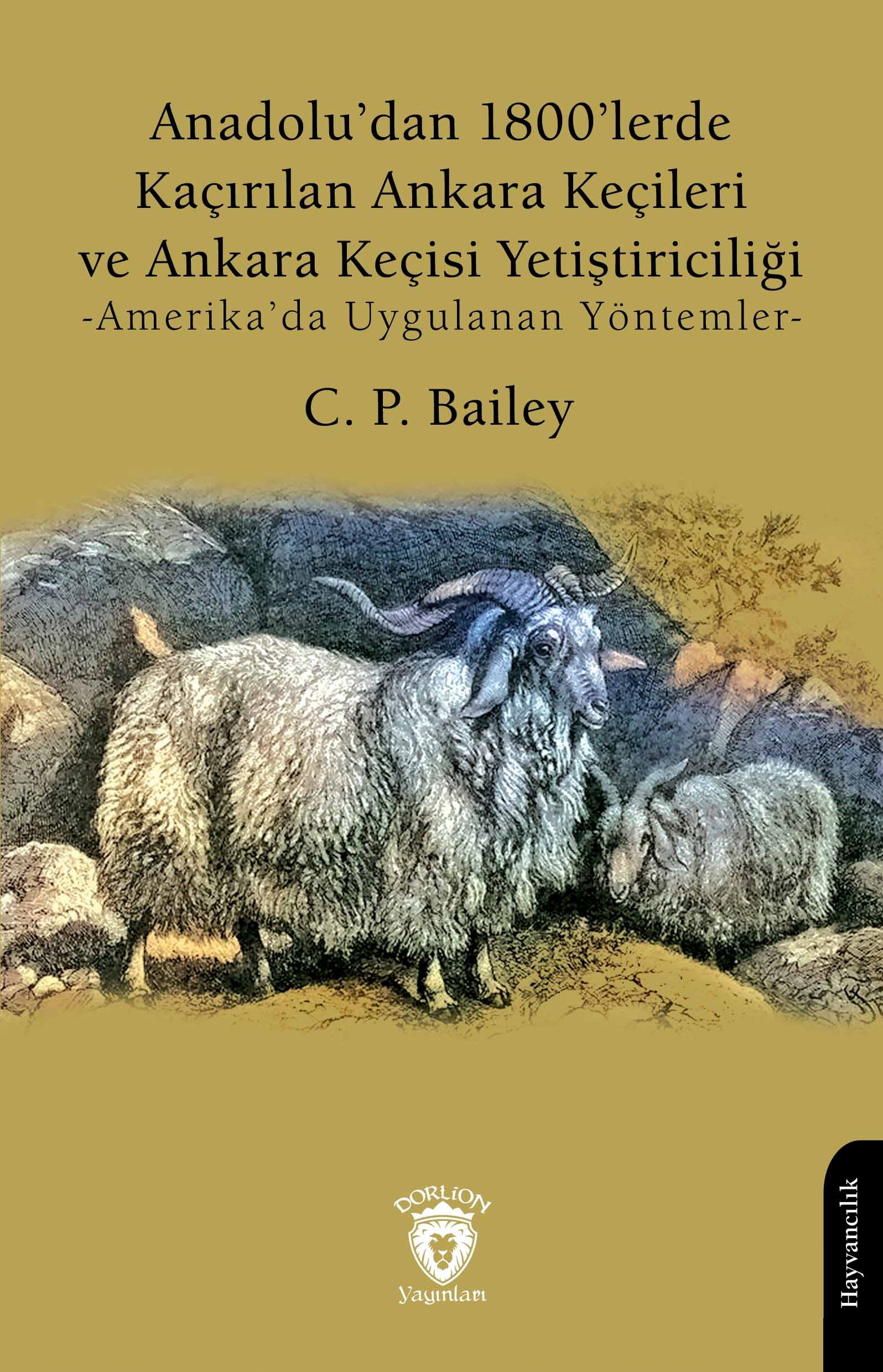 Anadolu’dan 1800’lerde Kaçırılan Ankara Keçileri ve Ankara Keçisi Yetiştiriciliği;Amerika’da Uygulanan Yöntemler