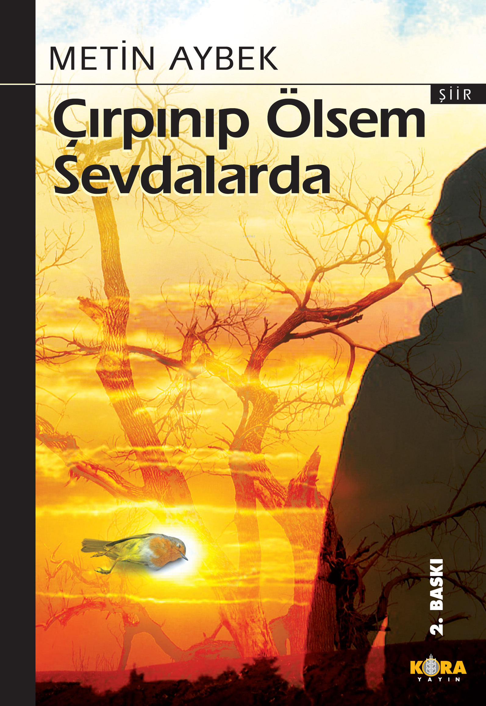  Çırpınıp Ölsem Sevdalarda | Metin Aybek | İsmet Arslan | Kora Yayın | 9786055601744 | 