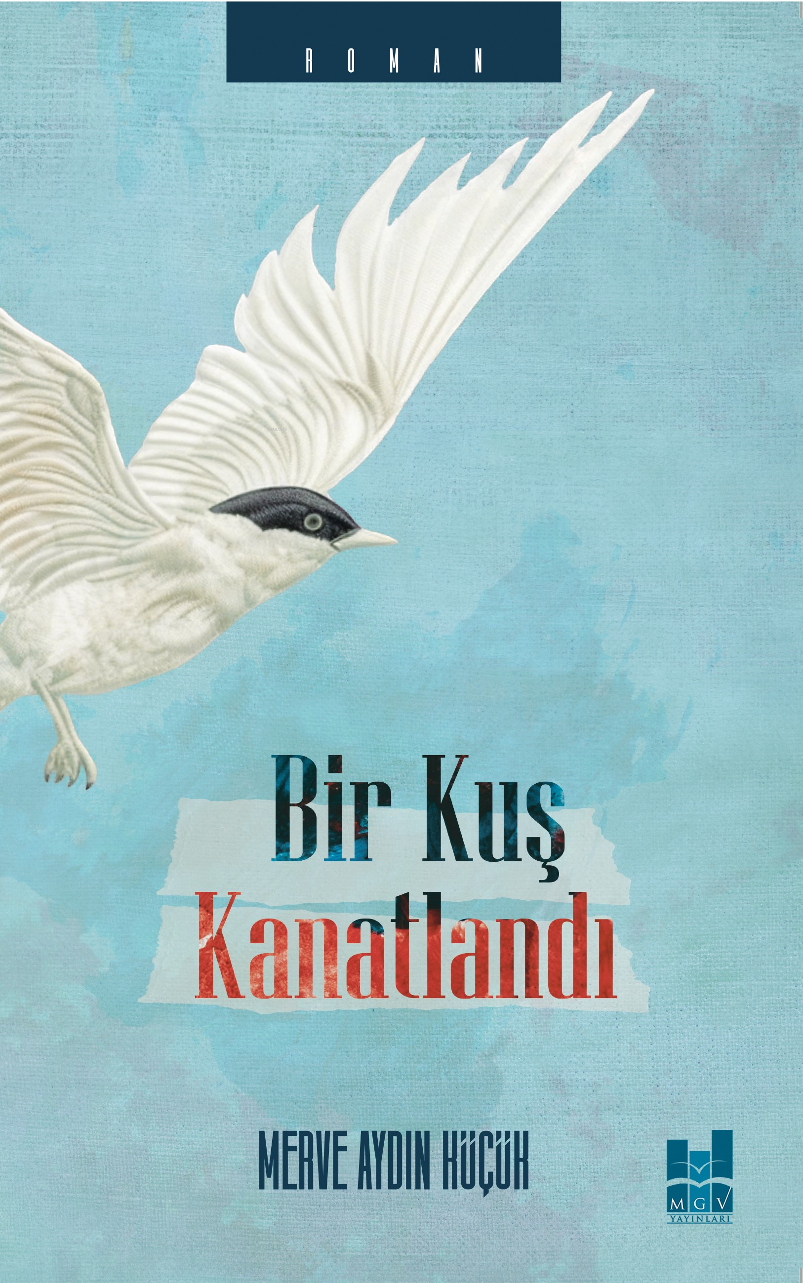 Bir Kuş Kanatlandı