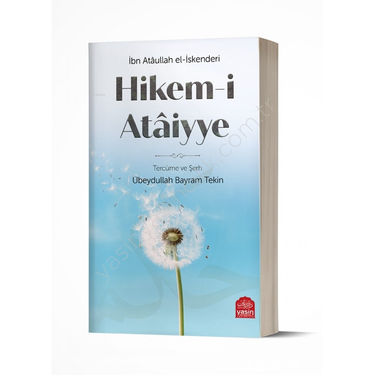 Hikemi Ataiyye