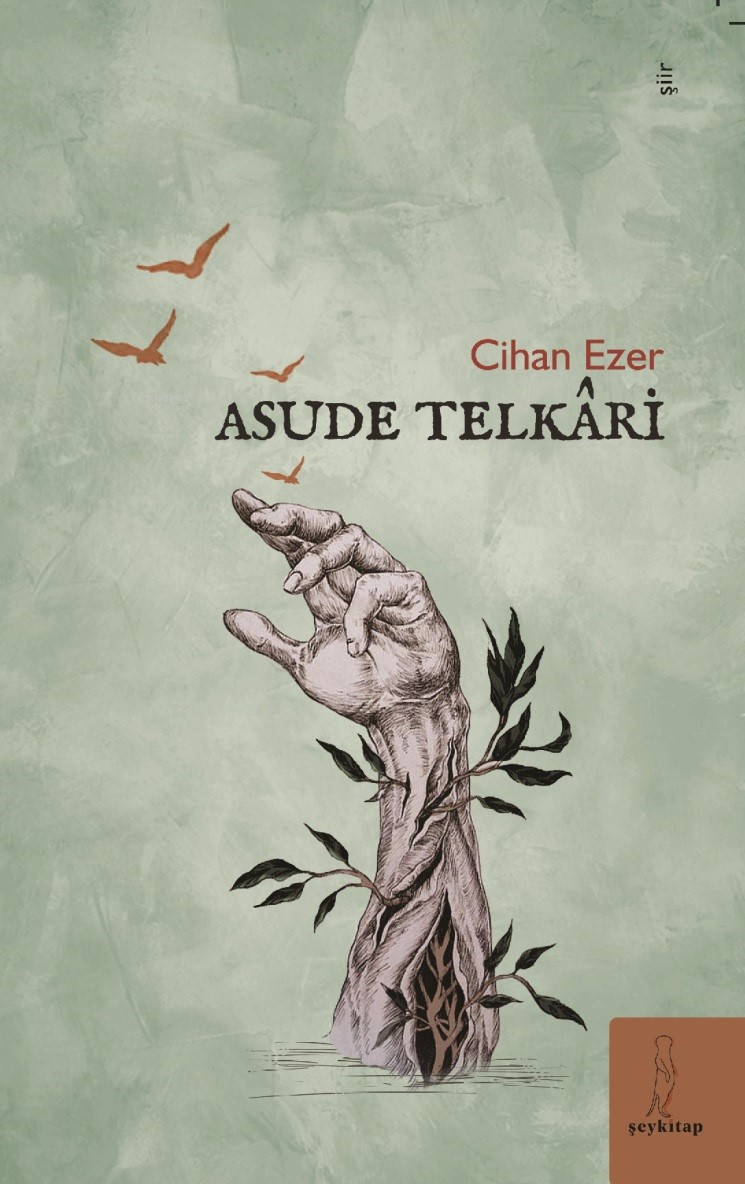  Asude Telkâri | Asude Telkâri | Cihan Ezer | Şey Kitap | 9786259835891 