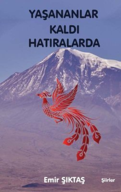  Yaşananlar Kaldı Hatıralarda | Yaşananlar Kaldı Hatıralarda | Emir Şıktaş | Northern Lights Yayınları | 9786257505123 