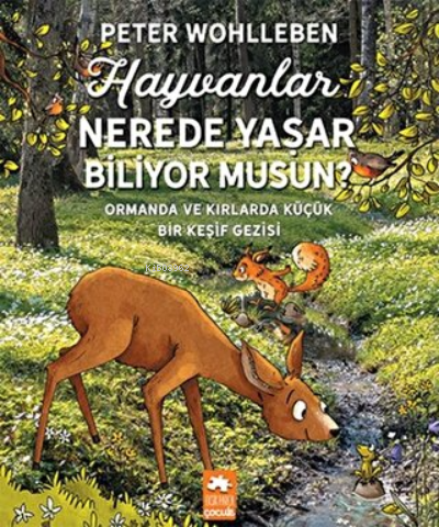 Hayvanlar Nerede Yaşar Biliyor Musun? Ormanda ve Kırlarda Küçük Bir Keşif Gezisi