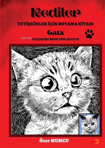 Kediler – Yetişkinler için Boyama Kitabı