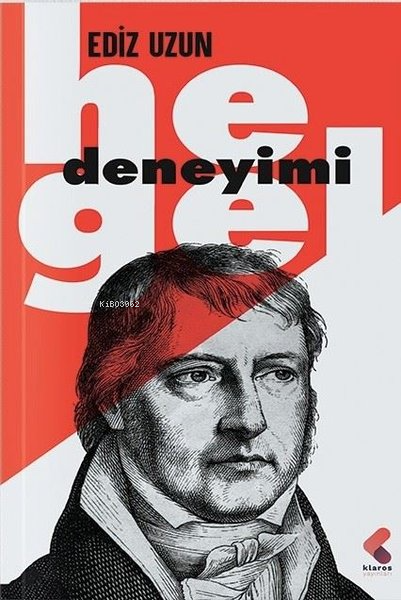 Hegel Deneyimi