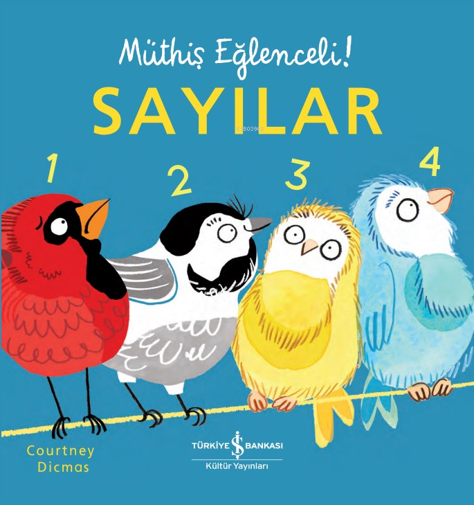 Sayılar – Müthiş Eğlenceli!