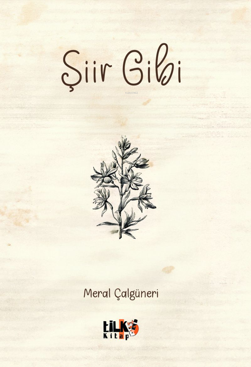  Şiir Gibi | Meral Çalgüneri | Meral Çalgüneri | Çağla Özkan | Tuğba Ünlüer | Enes Berkay Bayram | Enes Berkay Bayram | Tilki Kitap | 9786256689305 | 