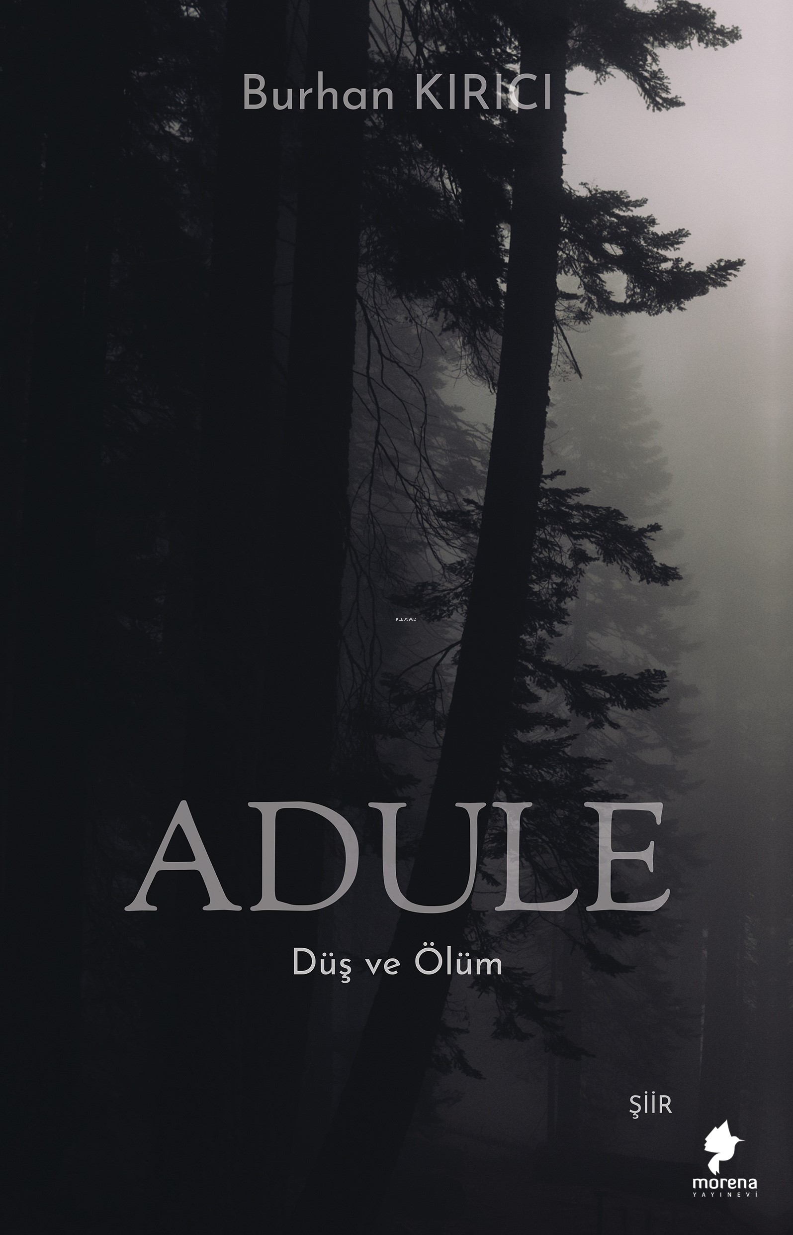  AduleDüş ve Ölüm | AduleDüş ve Ölüm | Burhan Kırıcı | Morena Yayınevi | 9786057258359 