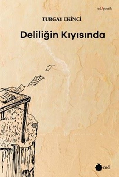 DELİLİĞİN KIYISINDA