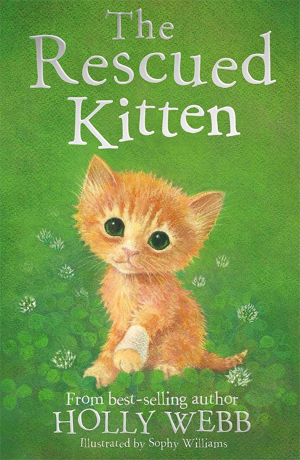 Holly Webb Animal Stories: The Rescued Kitten
